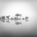 Lac de leonI